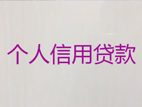 枣庄抵押贷款公司-银行信用贷款